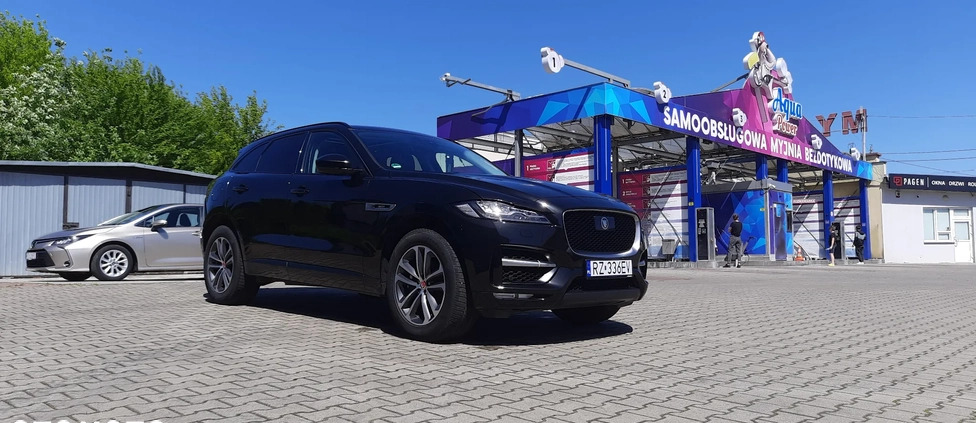 Jaguar F-Pace cena 136999 przebieg: 105000, rok produkcji 2019 z Rzeszów małe 191